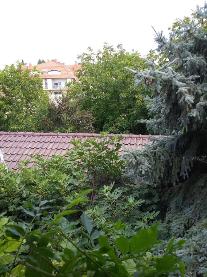 Balogh Vendeghaz Ξενοδοχείο Σέγκεντ Εξωτερικό φωτογραφία